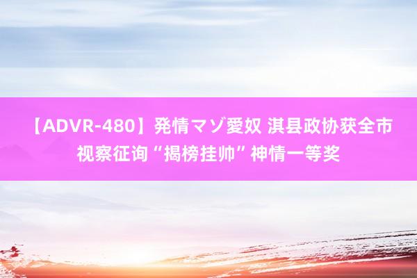 【ADVR-480】発情マゾ愛奴 淇县政协获全市视察征询“揭榜挂帅”神情一等奖