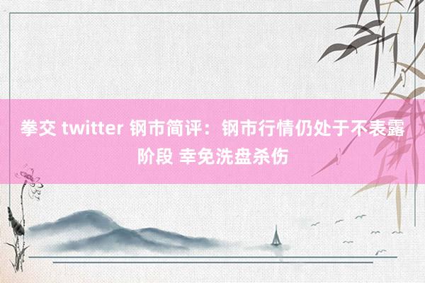 拳交 twitter 钢市简评：钢市行情仍处于不表露阶段 幸免洗盘杀伤