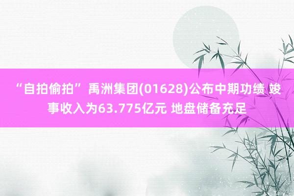 “自拍偷拍” 禹洲集团(01628)公布中期功绩 竣事收入为63.775亿元 地盘储备充足