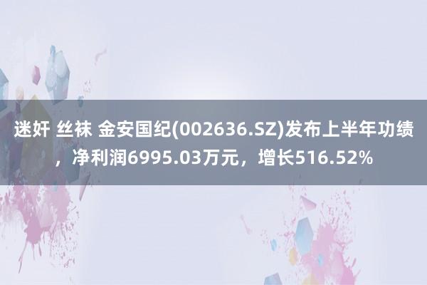 迷奸 丝袜 金安国纪(002636.SZ)发布上半年功绩，净利润6995.03万元，增长516.52%