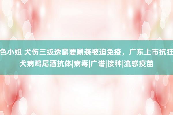 色小姐 犬伤三级透露要剿袭被迫免疫，广东上市抗狂犬病鸡尾酒抗体|病毒|广谱|接种|流感疫苗