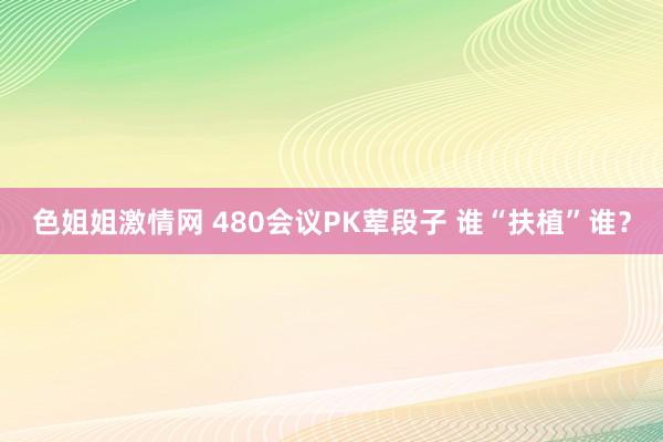 色姐姐激情网 480会议PK荤段子 谁“扶植”谁？